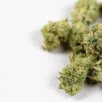 How Online Dispensaries Maintain Privacy and Discretion