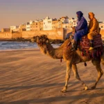 Slow Travel in Morocco: A Peaceful Sunset Camel Ride in Essaouira