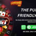 How Guru Bhai 247 Is Shaping the Online Cricket Experience