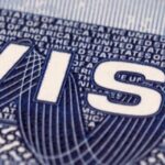 How Long Investor Immigration Applications Take and What Affects blessing Speed