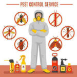 24/7 Emergency Pest control  Abu Dhabi