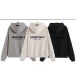 Essentials hoodie