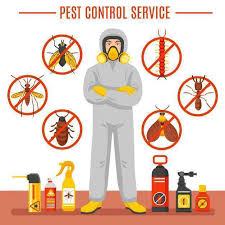 24/7 Emergency Pest control Abu Dhabi