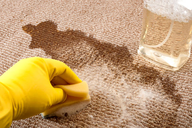 carpet cleaning service Fairfax