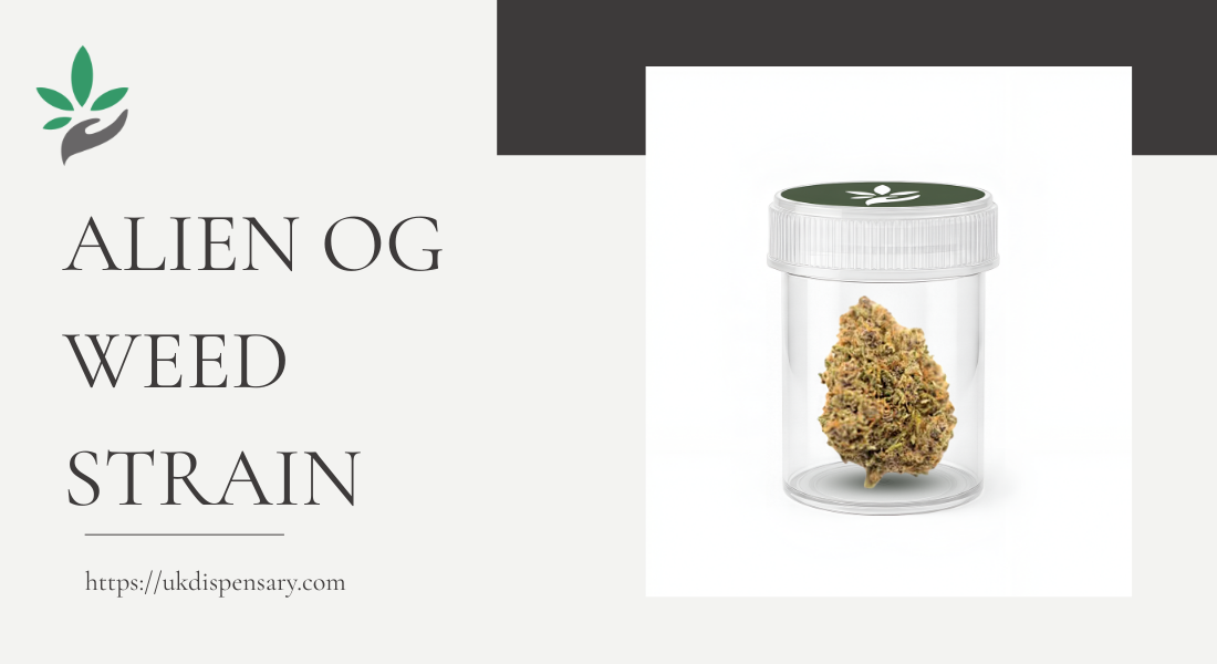 Alien OG Weed Strain