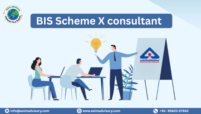 BIS Scheme X Consultant in India guiding manufacturers on BIS Scheme X Certification process and compliance requirements