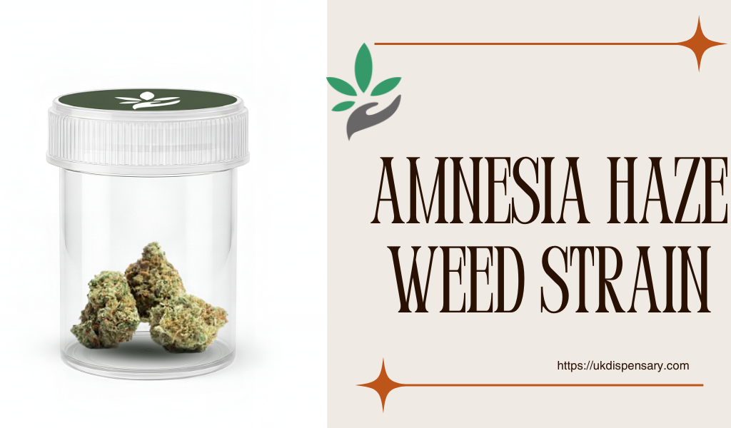Amnesia Haze Weed Strain