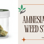 Amnesia Haze Weed Strain