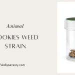 Animal Cookies Weed Strain