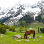 Kashmir Honeymoon packages