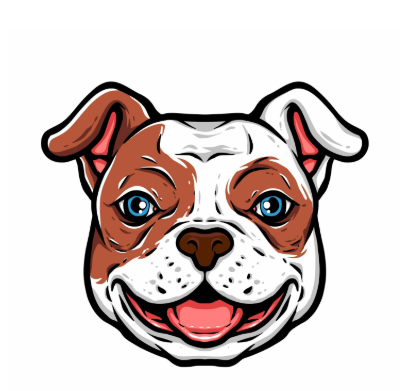 BullGodz HQ: A Trusted Florida English Bulldog Breeder Redefining Quality, Care, and Confidence