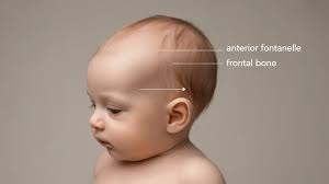 When to Worry About Baby's Soft Spot