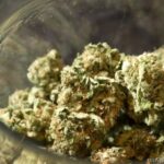 dispensary chelmsford