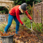Garden Maintenance Dubai