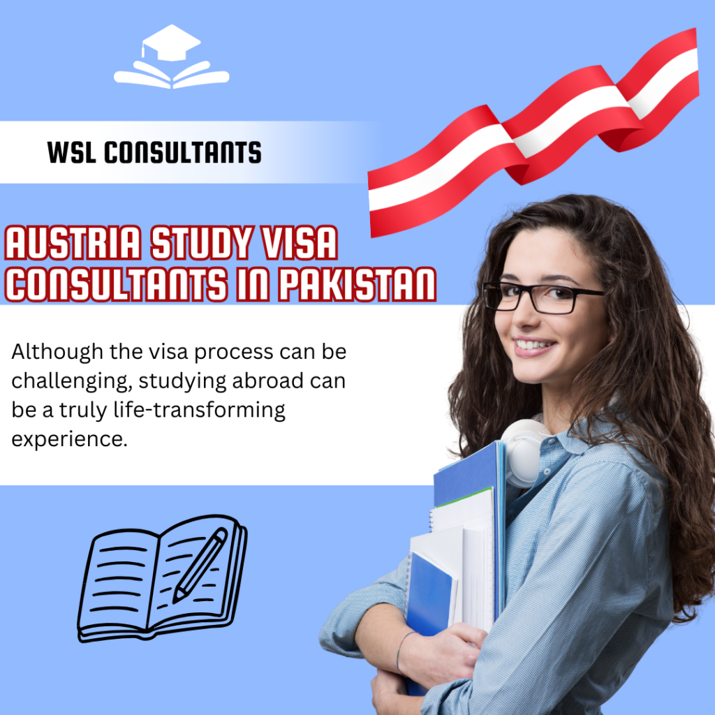 visa consultant