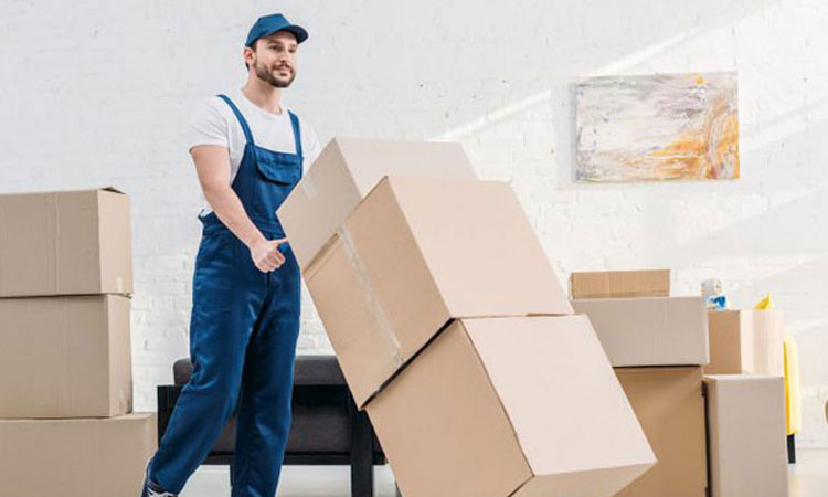 Furniture Removals Sunshine Coast: Safe, Efficient, and Reliable Moving Solutions
