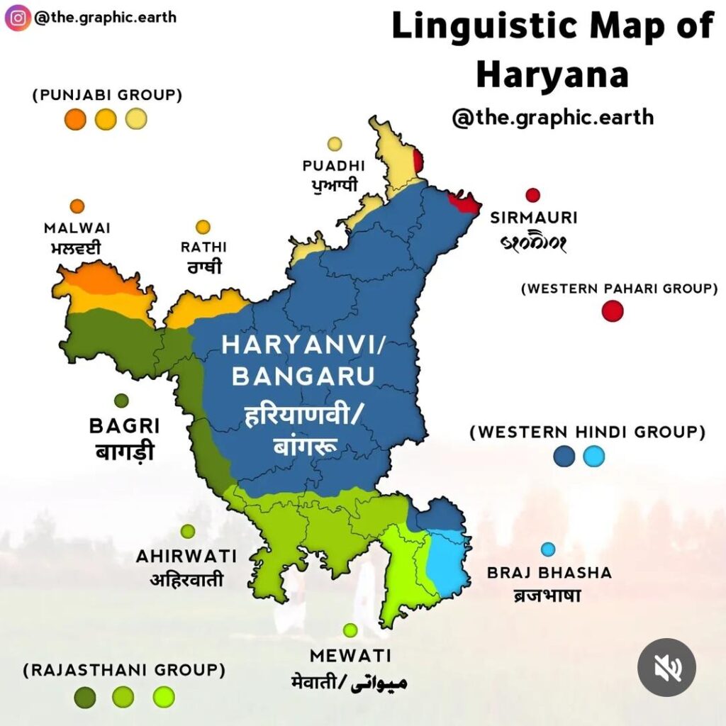 Punjabi & Haryanvi