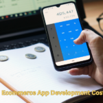ecommerce app development cost
