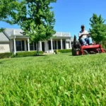 Lawn Services
