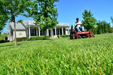 Lawn Services