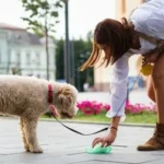 Dog Poop Cleanup