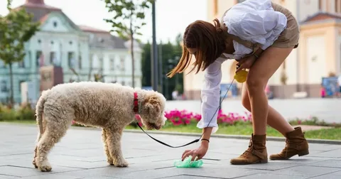 Dog Poop Cleanup