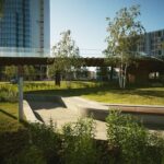 landscaping in Fort Worth