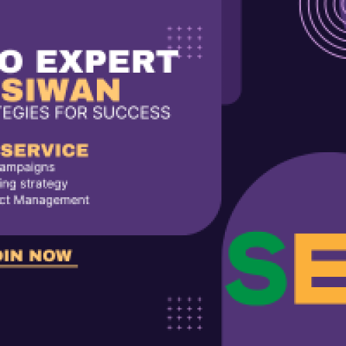 SEO Expert in Siwan